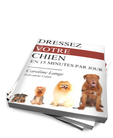 Caroline Lange : couverture du livre Dressez votre chien en 15 minutes par jour